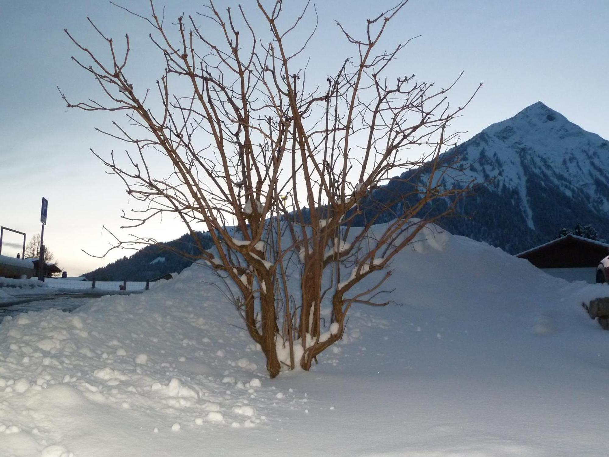 Hotel Restaurant Sunnmatt Aeschi Bei Spiez 외부 사진