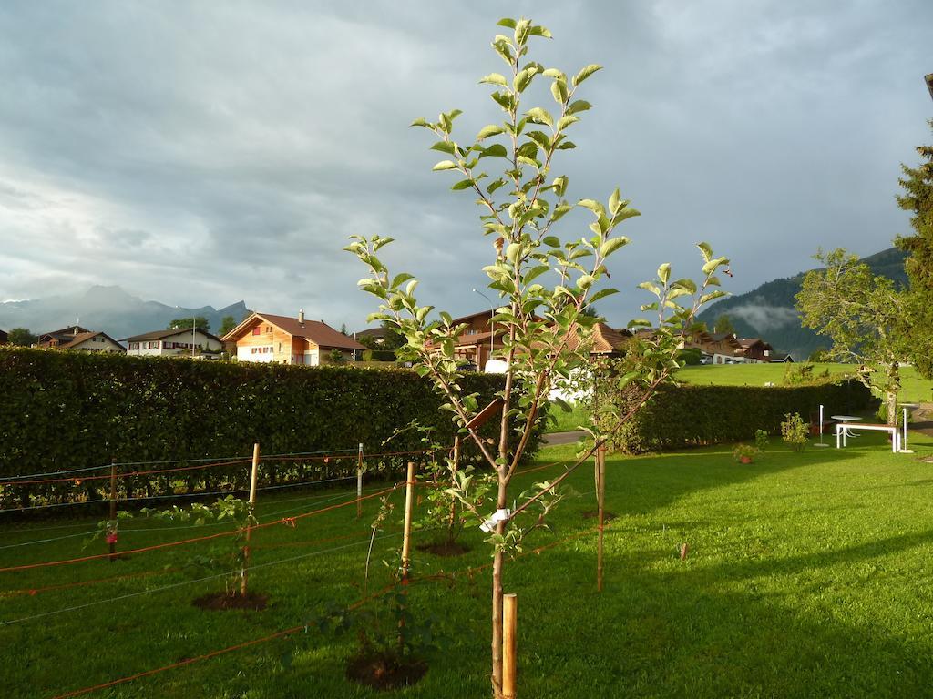 Hotel Restaurant Sunnmatt Aeschi Bei Spiez 외부 사진