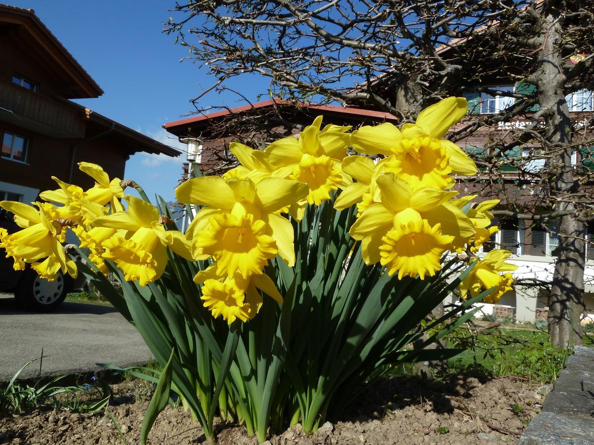 Hotel Restaurant Sunnmatt Aeschi Bei Spiez 외부 사진