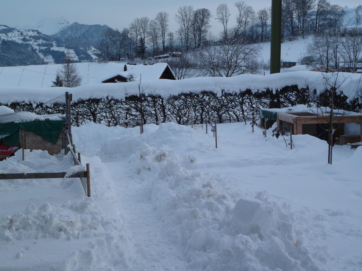 Hotel Restaurant Sunnmatt Aeschi Bei Spiez 외부 사진